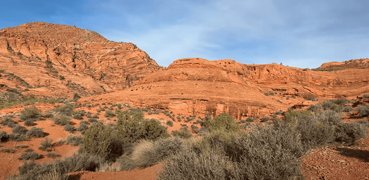 Red Cliffs and Silver Reef in Utah