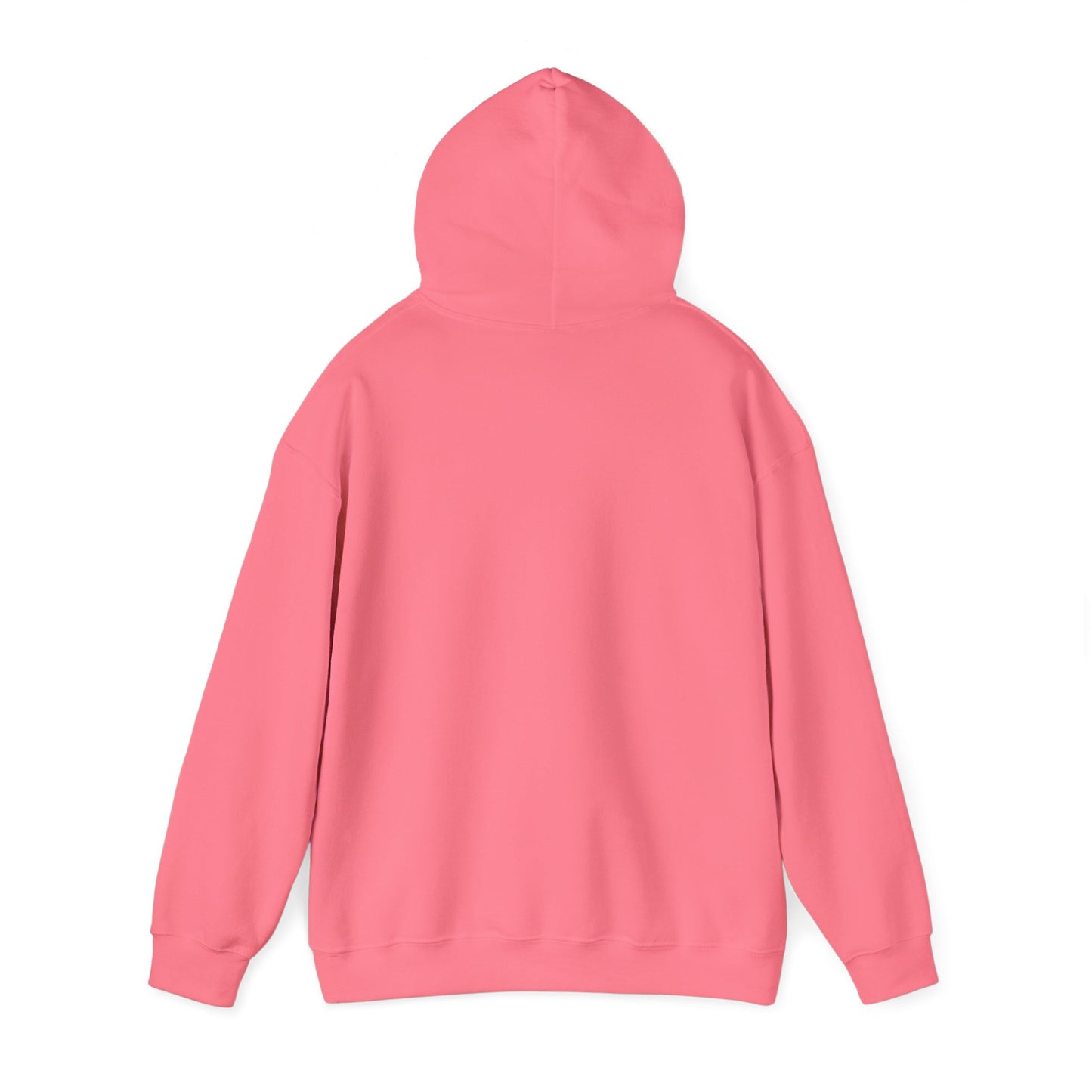 Purrr-chair Travelers - Hooded Sweatshirt (5 light colors)