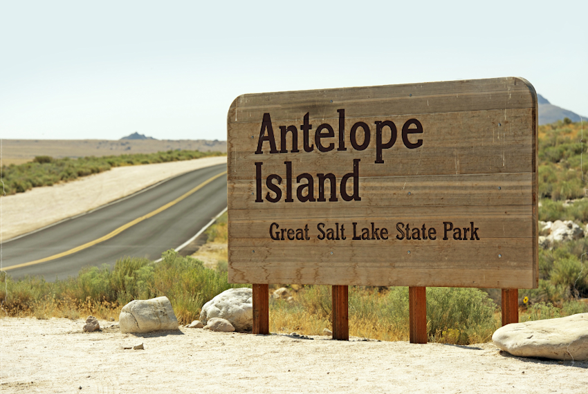 Antelope Island State Park: A Hidden Gem in Utah