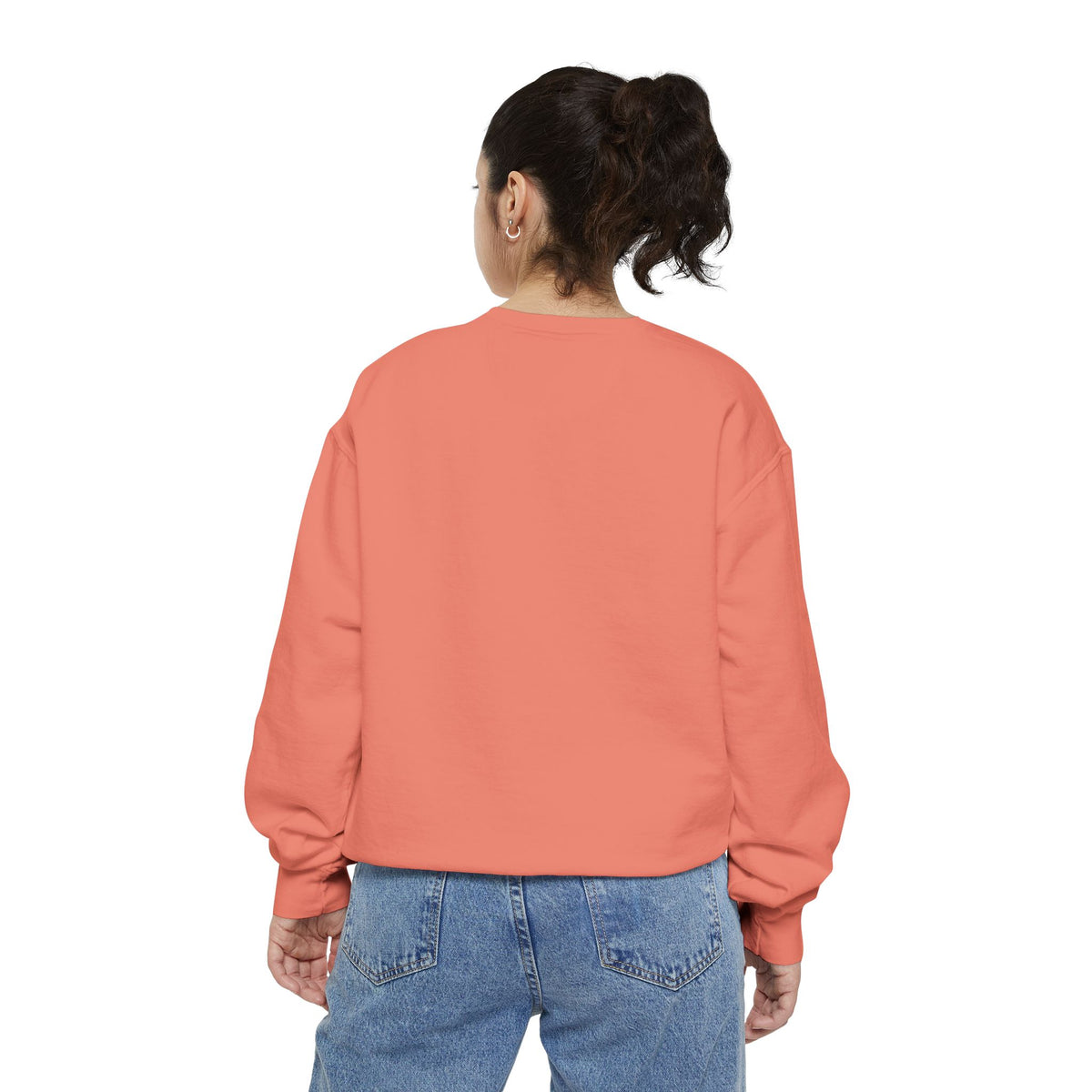 Furchair Travelers Sweatshirt (original design)