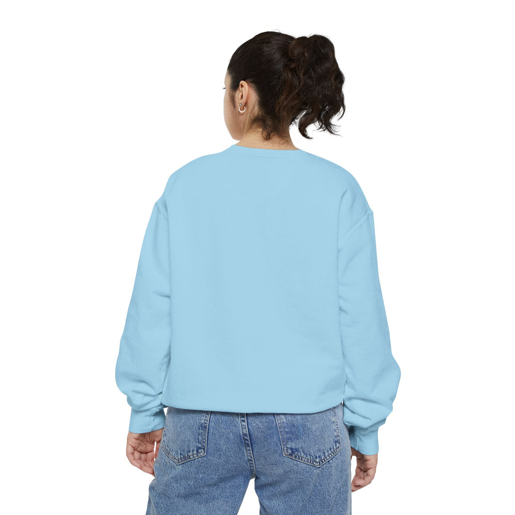 Furchair Travelers Sweatshirt (original design)