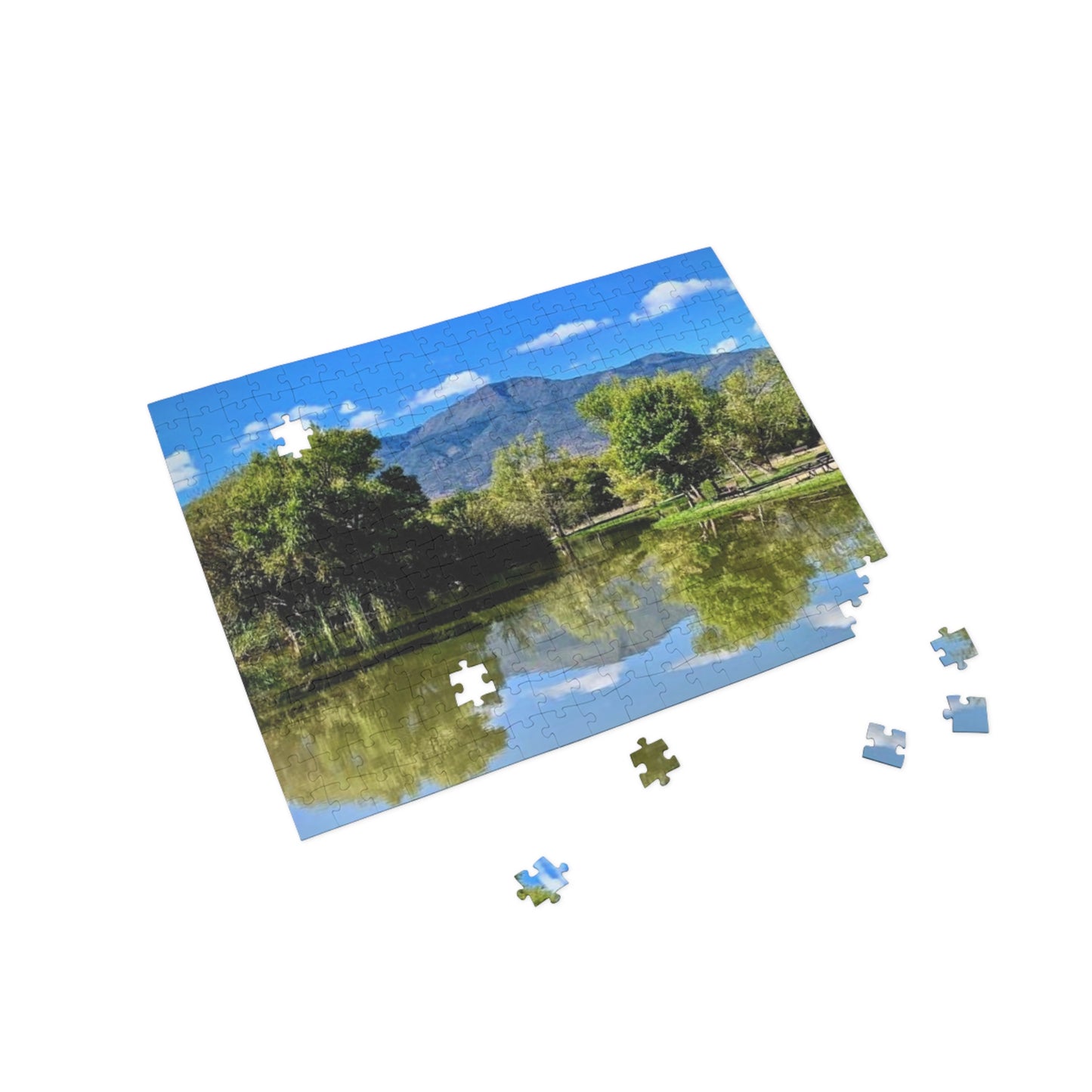 Park Puzzle (96, 252, 500, 1000-Piece)