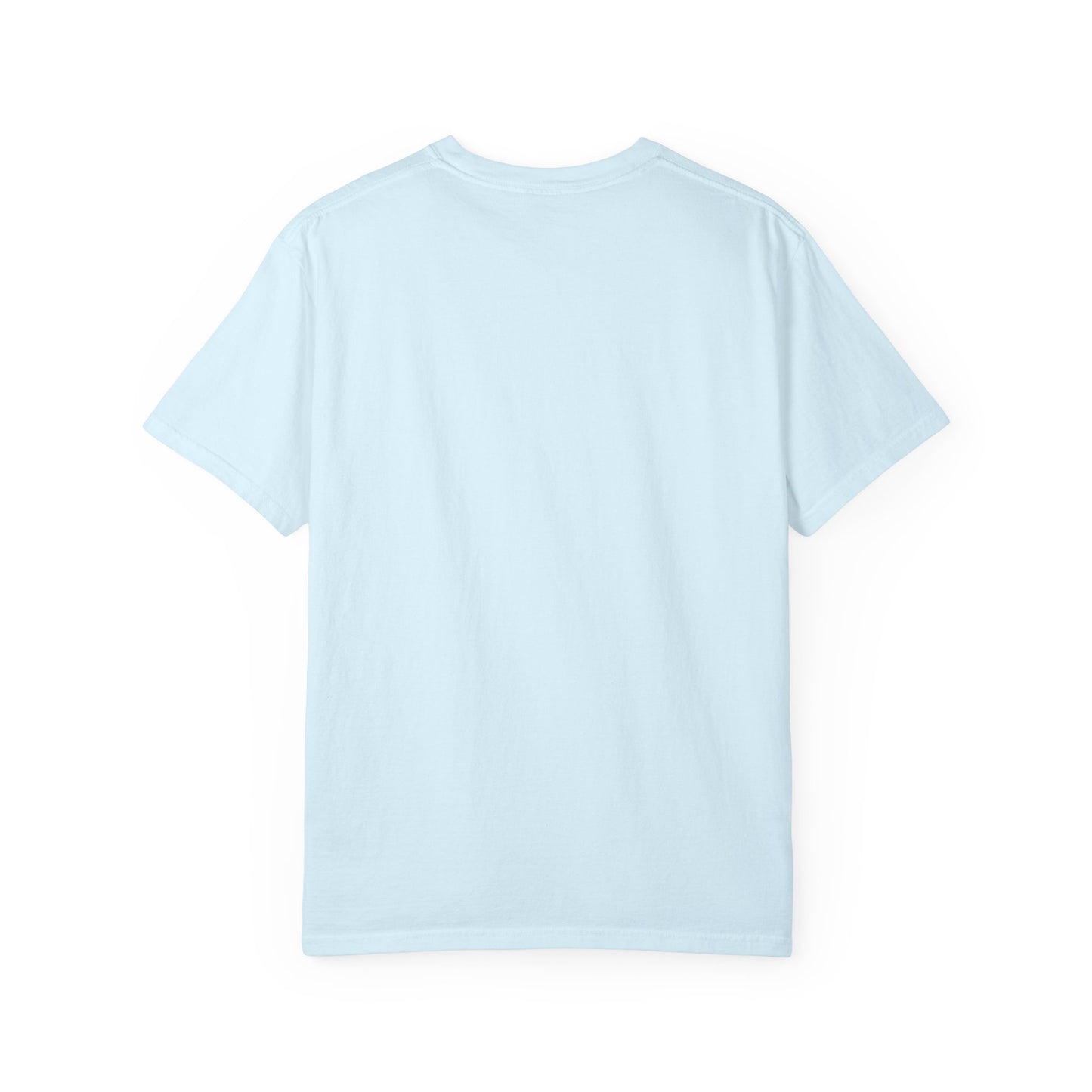 Semiquincentennial RVerTV Commemorative T-shirt