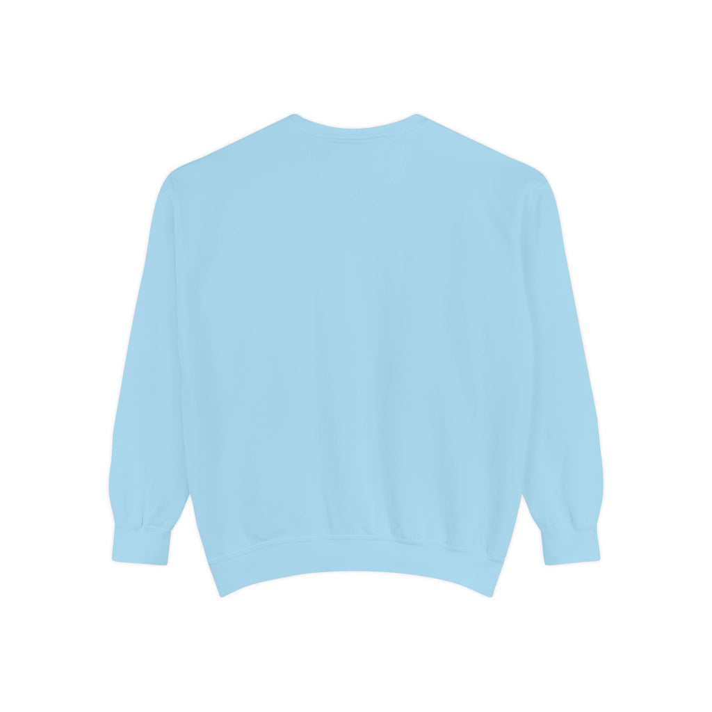 Furchair Travelers Sweatshirt (original design)