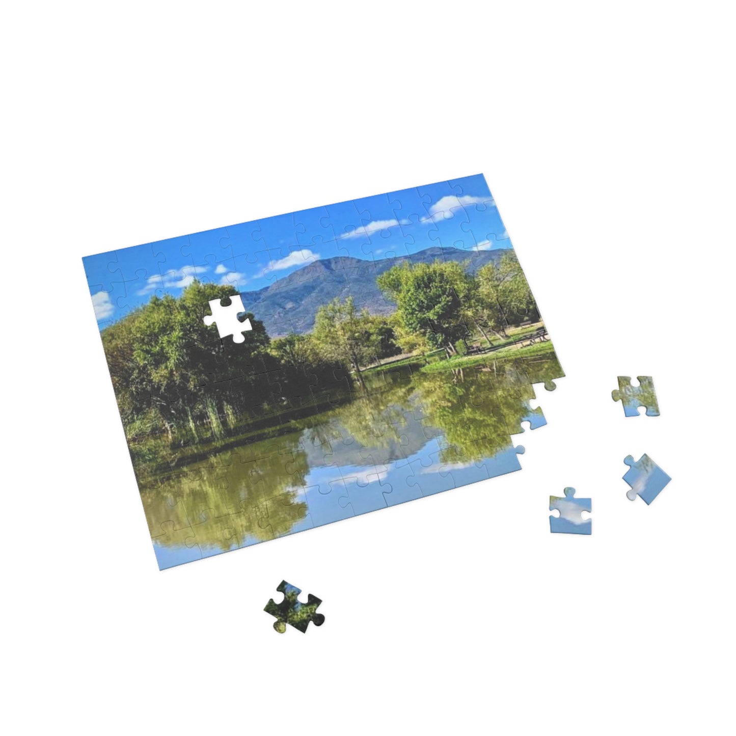 Park Puzzle (96, 252, 500, 1000-Piece)