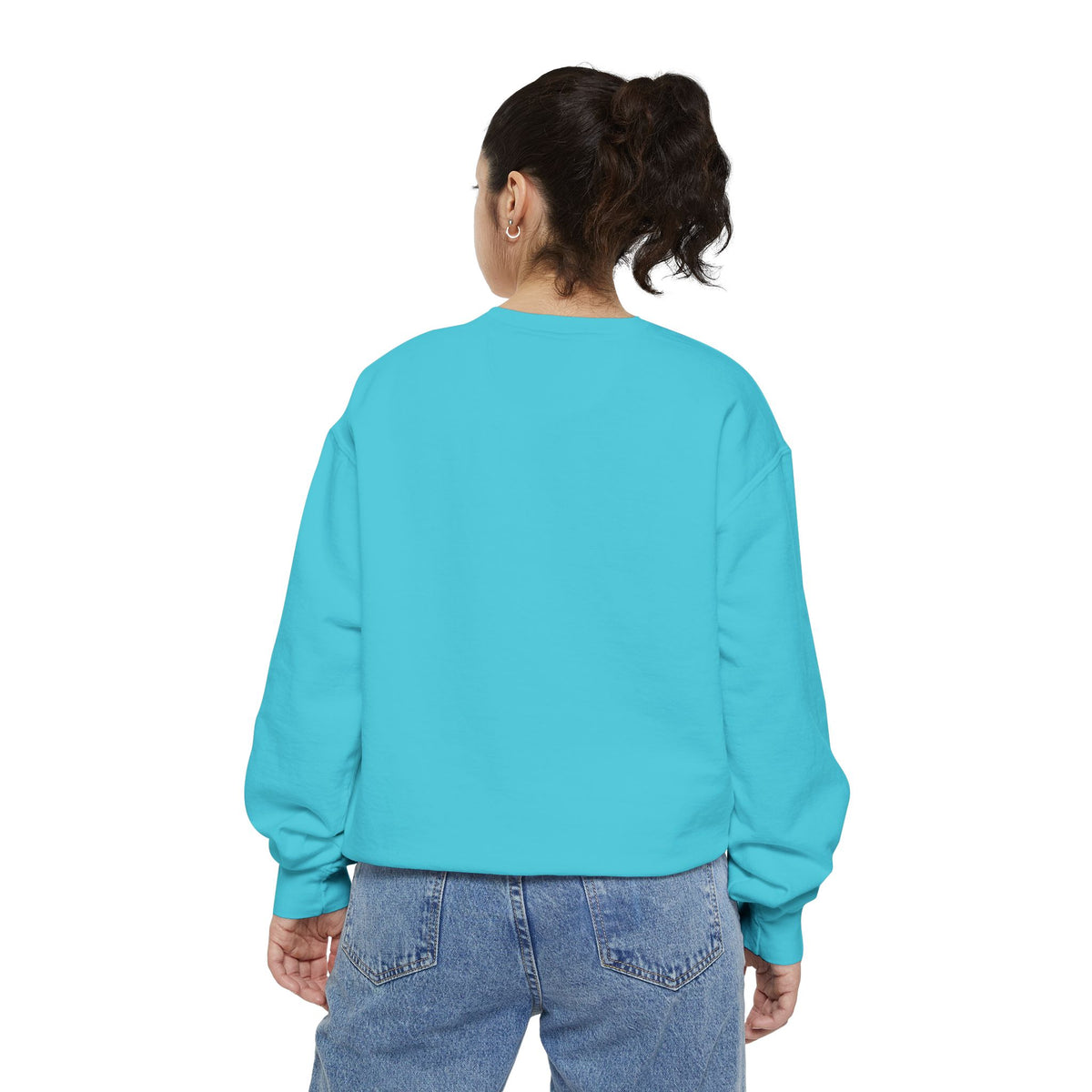 Furchair Travelers Sweatshirt (original design)