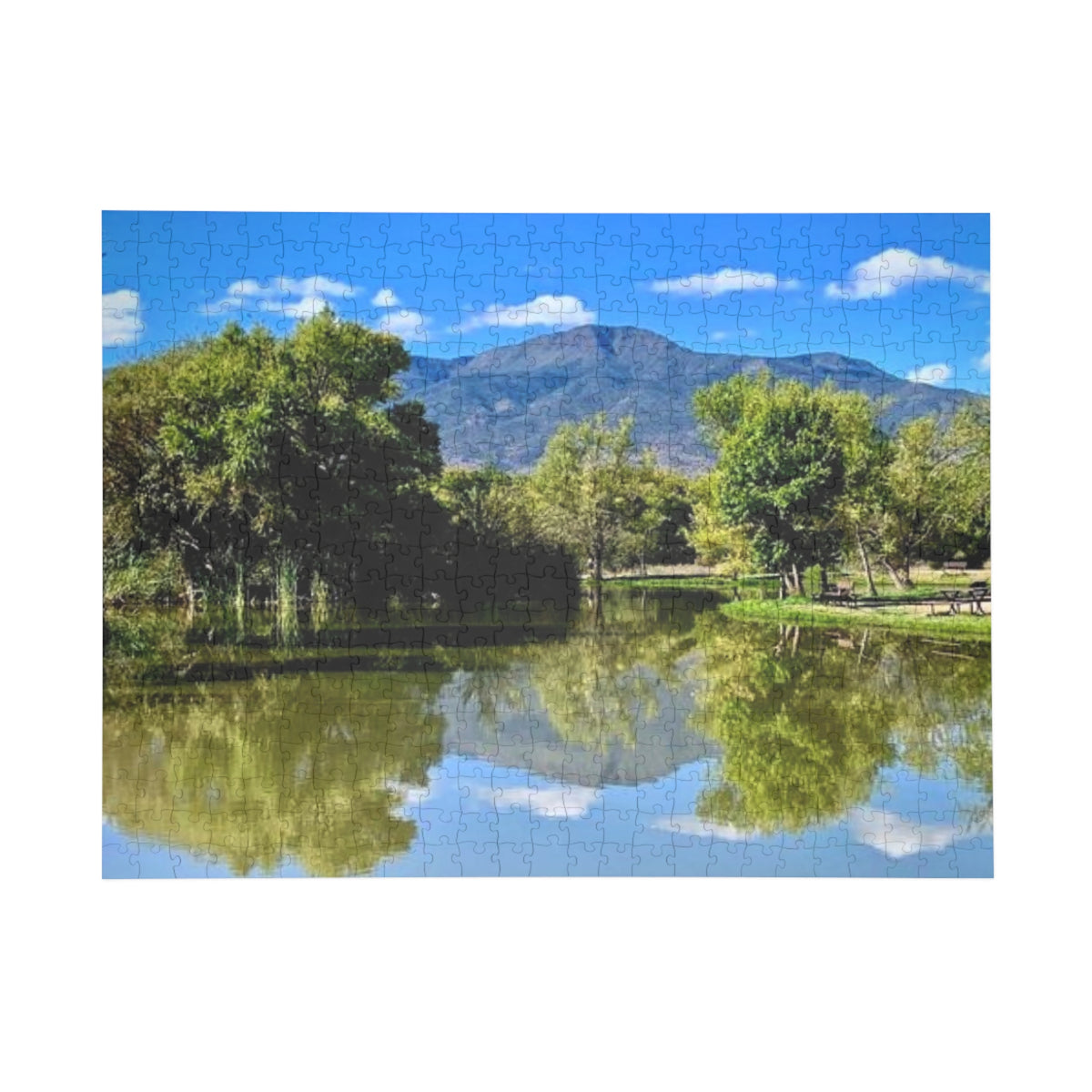 Park Puzzle (96, 252, 500, 1000-Piece)