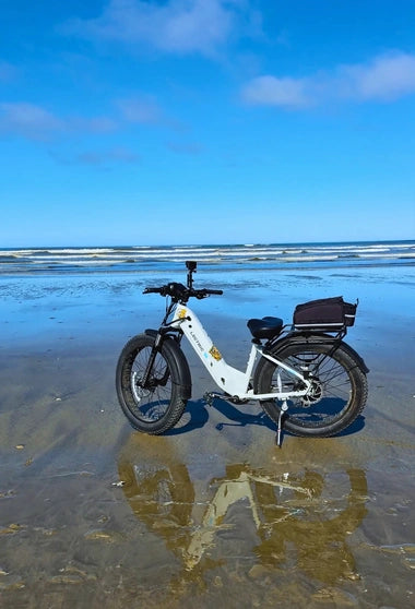 Lectric Folding E-Bikes