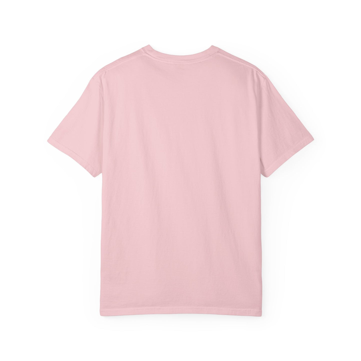 Semiquincentennial RVerTV Commemorative T-shirt