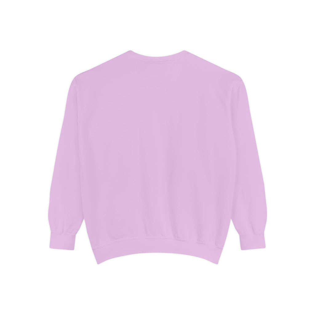 Furchair Travelers Sweatshirt (original design)