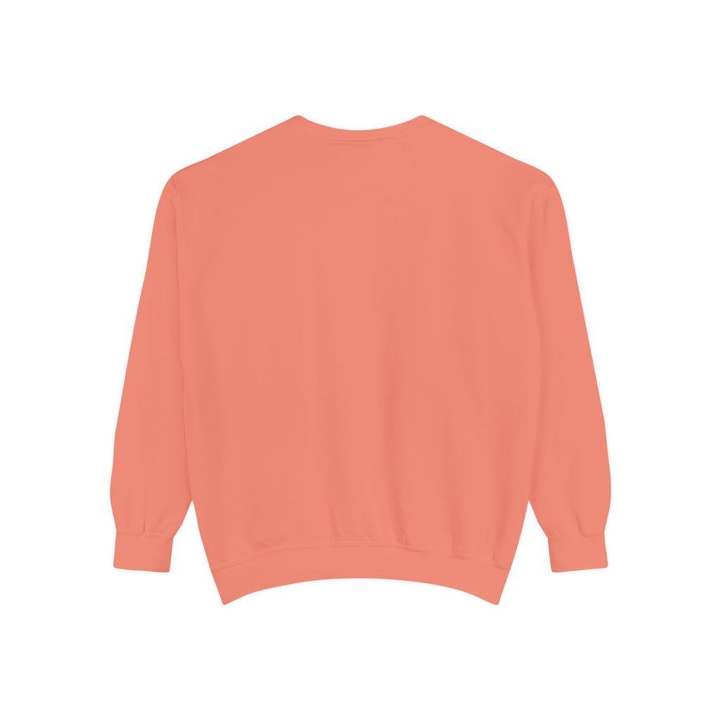 Furchair Travelers Sweatshirt (original design)